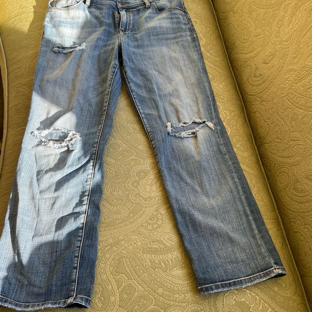 Anthropologie Pilcro and the Letterpress FOLIO Boyfriend Jeans Size 30